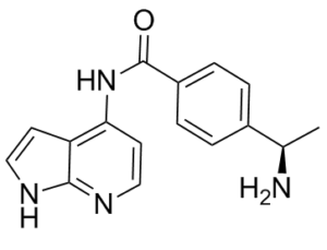 Y-39983 199433-58-4